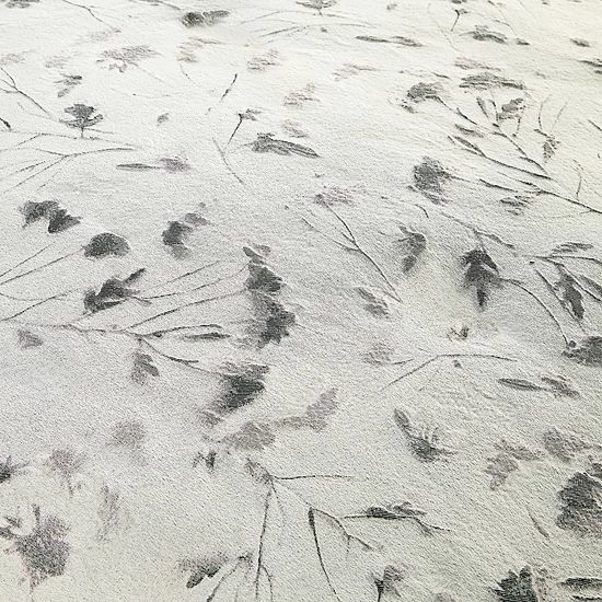 Simply Vera Vera Wang Shadow Leaves Duvet Set With Shams 3 Simply Vera Vera Wang Shadow Leaves Duvet Set With Shams - Image 3